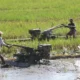 Ketika Petani Terpinggirkan di Tanah Sendiri